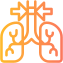 lungs icon
