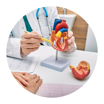 a person with a heart prototype
